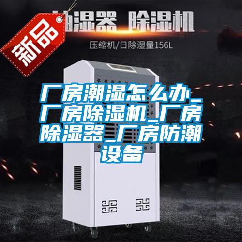 廠房潮濕怎么辦_廠房除濕機(jī)_廠房除濕器_廠房防潮設(shè)備