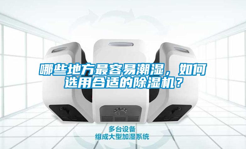 哪些地方最容易潮濕，如何選用合適的除濕機？