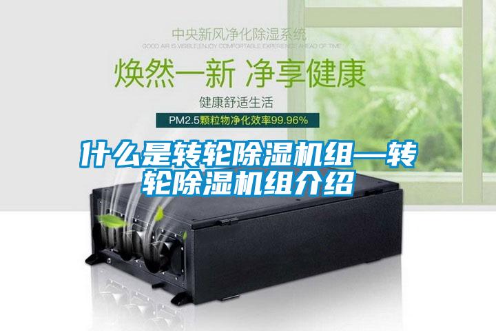 什么是轉(zhuǎn)輪除濕機組—轉(zhuǎn)輪除濕機組介紹