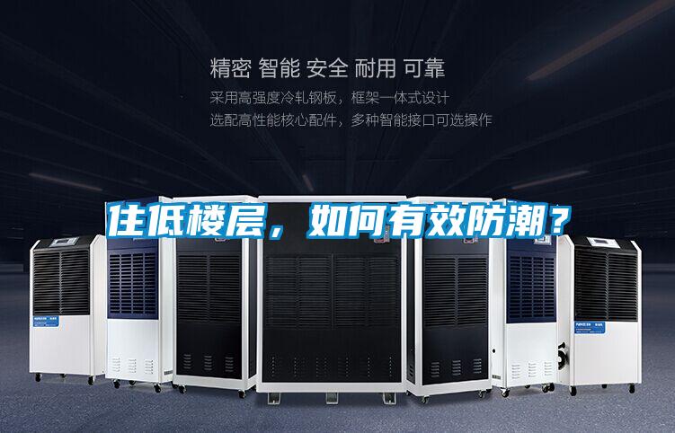 住低樓層，如何有效防潮？
