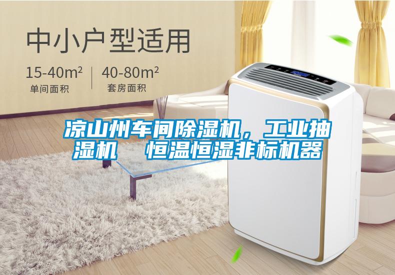 涼山州車間除濕機(jī)，工業(yè)抽濕機(jī)  恒溫恒濕非標(biāo)機(jī)器