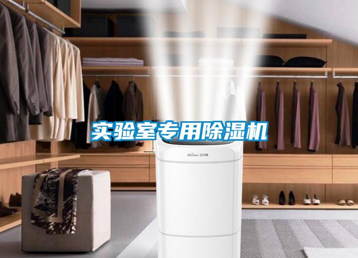 實(shí)驗(yàn)室專(zhuān)用除濕機(jī)