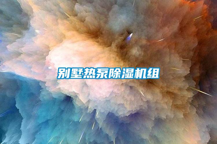 別墅熱泵除濕機(jī)組