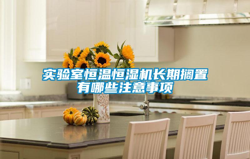 實(shí)驗(yàn)室恒溫恒濕機(jī)長(zhǎng)期擱置有哪些注意事項(xiàng)