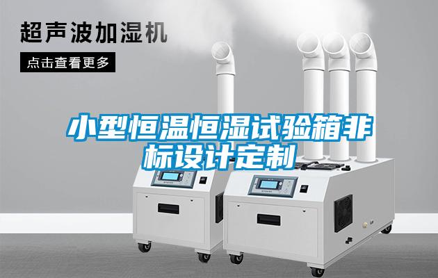小型恒溫恒濕試驗箱非標(biāo)設(shè)計定制