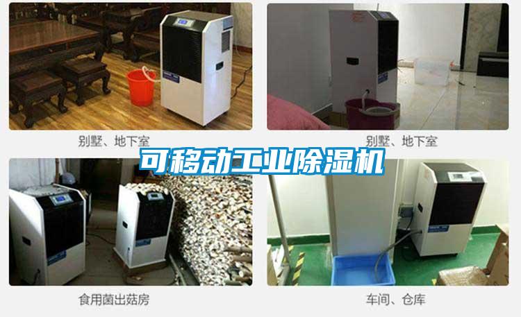 可移動工業(yè)除濕機