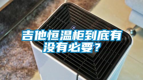 吉他恒溫柜到底有沒有必要？