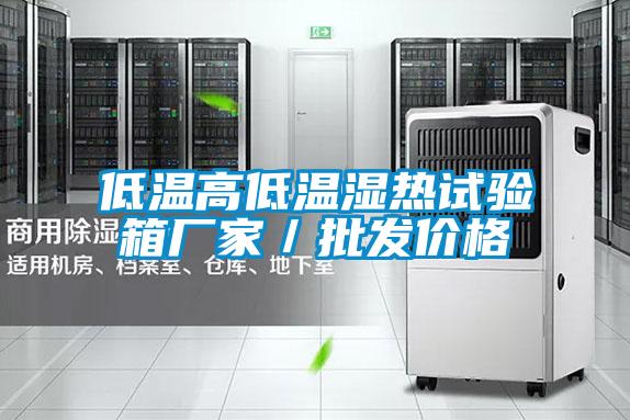 低溫高低溫濕熱試驗箱廠家／批發(fā)價格