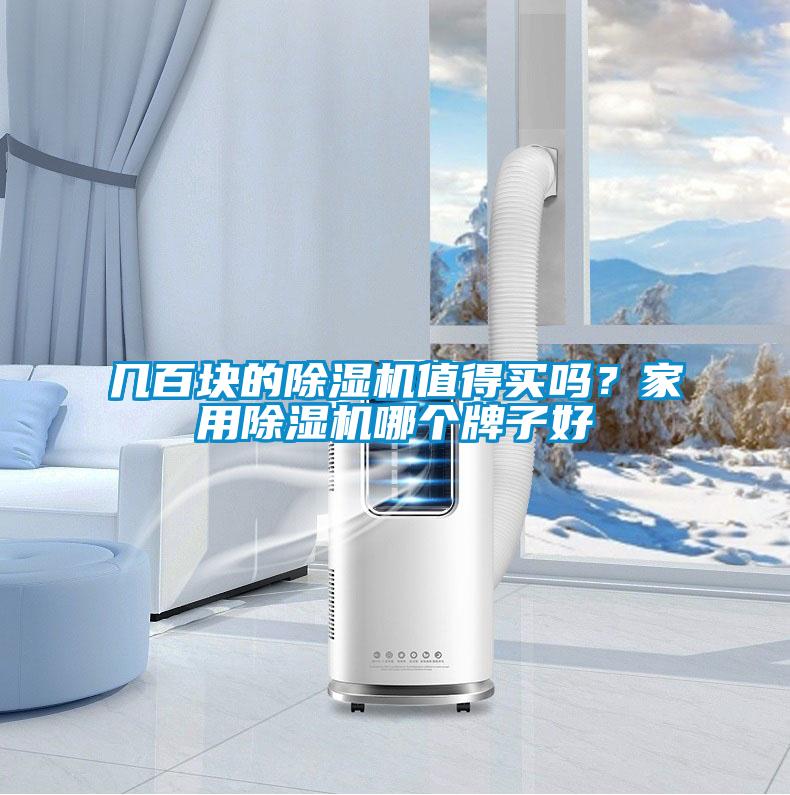 幾百塊的除濕機(jī)值得買嗎？家用除濕機(jī)哪個(gè)牌子好
