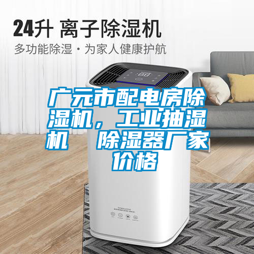 廣元市配電房除濕機(jī)，工業(yè)抽濕機(jī)  除濕器廠家 價(jià)格
