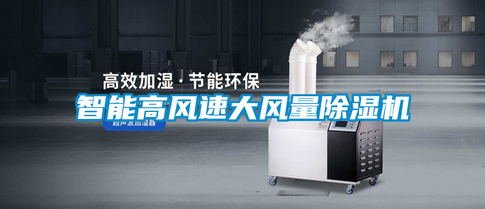 智能高風(fēng)速大風(fēng)量除濕機
