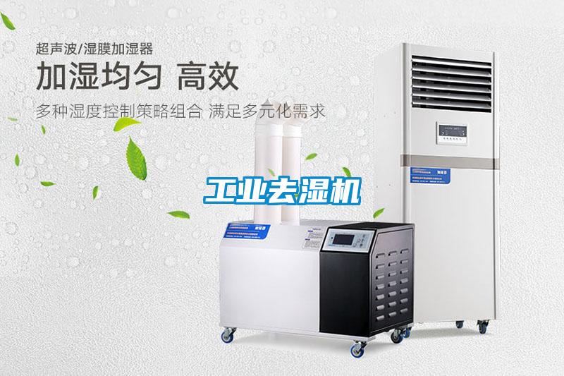 工業(yè)去濕機