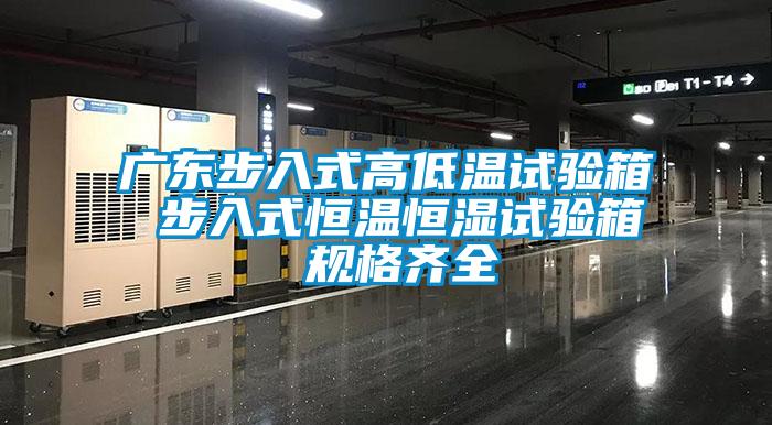 廣東步入式高低溫試驗箱 步入式恒溫恒濕試驗箱 規(guī)格齊全