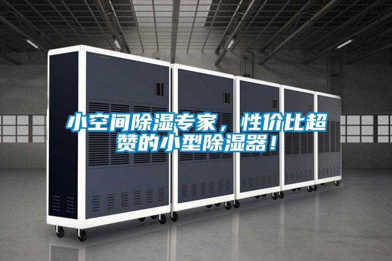 小空間除濕專家，性價比超贊的小型除濕器！