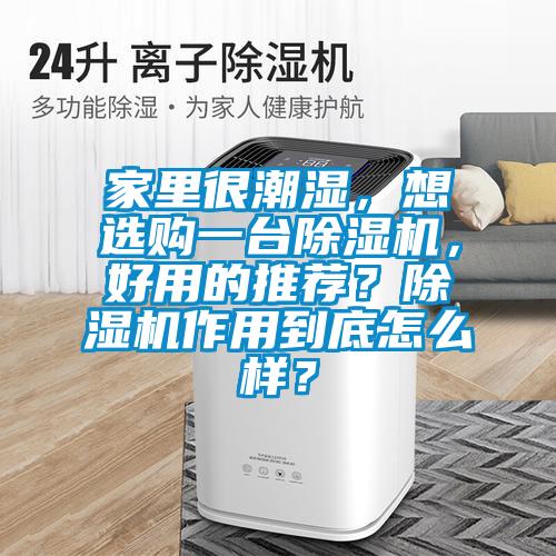家里很潮濕，想選購一臺(tái)除濕機(jī)，好用的推薦？除濕機(jī)作用到底怎么樣？
