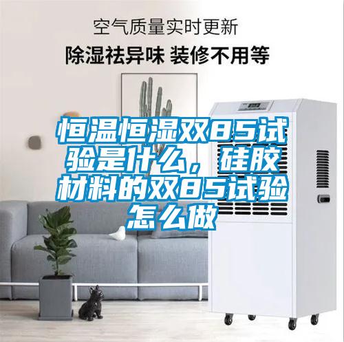 恒溫恒濕雙85試驗是什么，硅膠材料的雙85試驗怎么做
