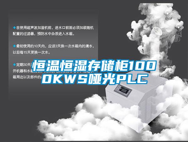 恒溫恒濕存儲柜1000KWS啞光PLC