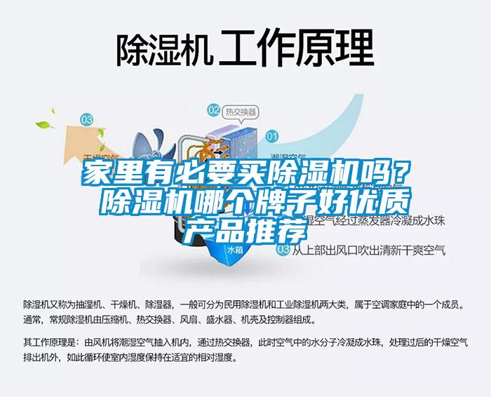 家里有必要買除濕機(jī)嗎？ 除濕機(jī)哪個(gè)牌子好優(yōu)質(zhì)產(chǎn)品推薦