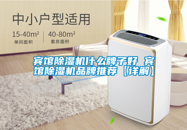賓館除濕機(jī)什么牌子好 賓館除濕機(jī)品牌推薦【詳解】