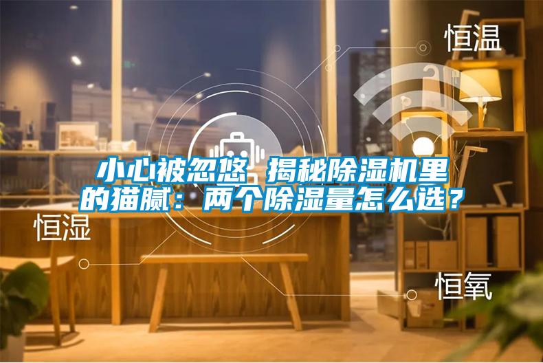 小心被忽悠 揭秘除濕機(jī)里的貓膩：兩個除濕量怎么選？