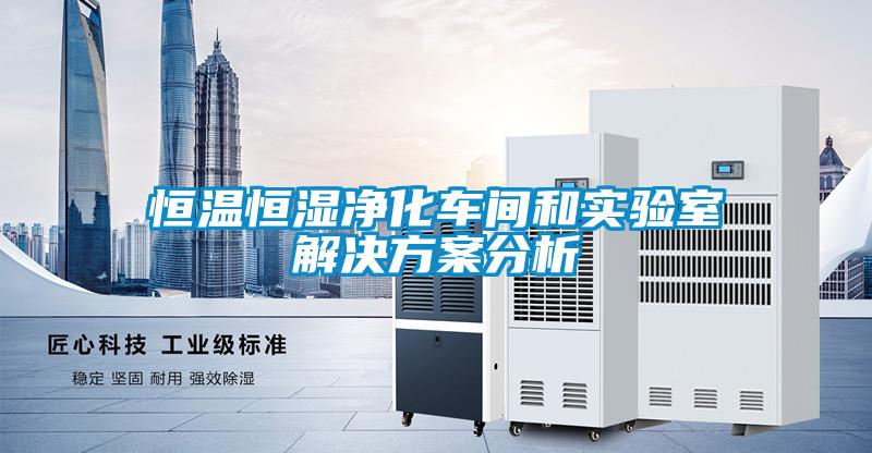 恒溫恒濕凈化車間和實驗室解決方案分析