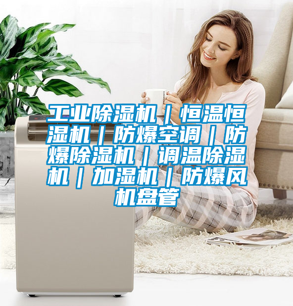 工業(yè)除濕機｜恒溫恒濕機｜防爆空調(diào)｜防爆除濕機｜調(diào)溫除濕機｜加濕機｜防爆風(fēng)機盤管