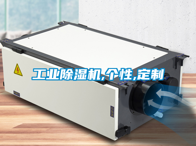 工業(yè)除濕機(jī),個(gè)性,定制