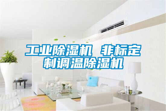 工業(yè)除濕機 非標定制調(diào)溫除濕機