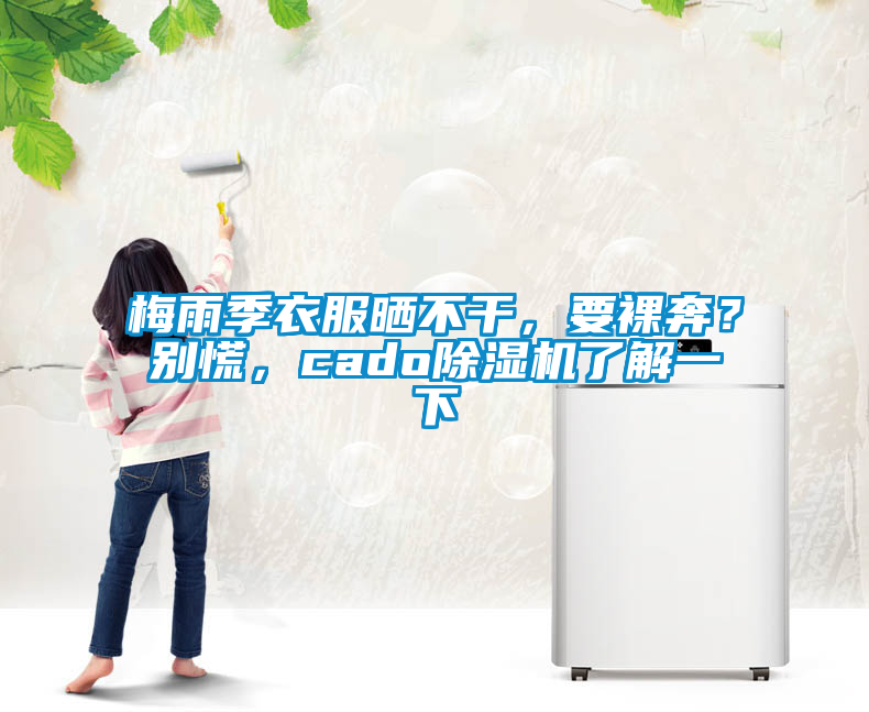 梅雨季衣服曬不干，要裸奔？別慌，cado除濕機(jī)了解一下