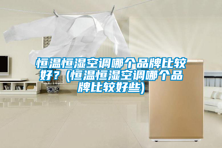 恒溫恒濕空調(diào)哪個(gè)品牌比較好？(恒溫恒濕空調(diào)哪個(gè)品牌比較好些)