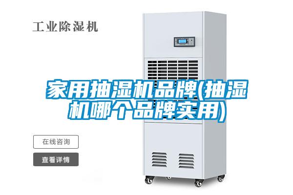 家用抽濕機品牌(抽濕機哪個品牌實用)