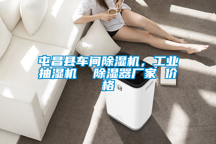 屯昌縣車間除濕機(jī)，工業(yè)抽濕機(jī)  除濕器廠家 價(jià)格