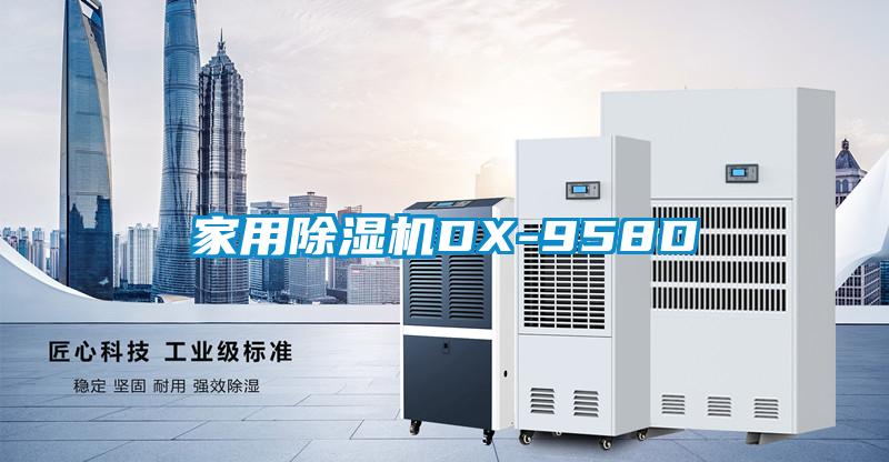 家用除濕機(jī)DX-958D
