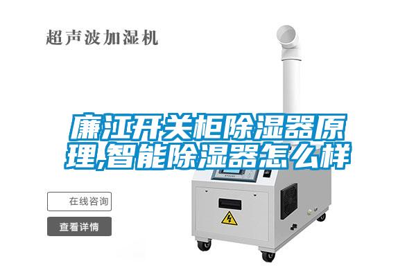 廉江開(kāi)關(guān)柜除濕器原理,智能除濕器怎么樣