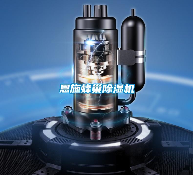 恩施蜂巢除濕機(jī)
