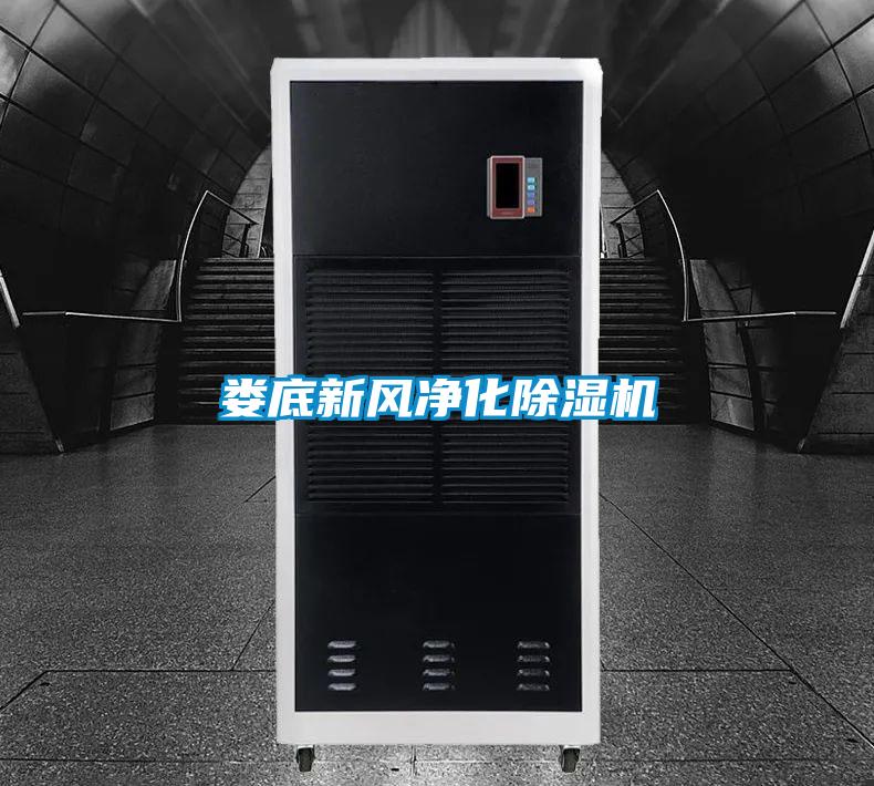 婁底新風(fēng)凈化除濕機(jī)