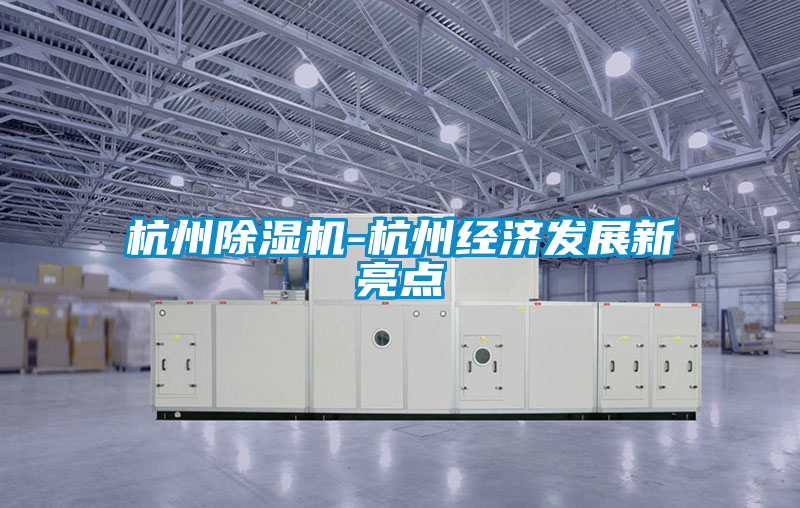 杭州除濕機-杭州經(jīng)濟發(fā)展新亮點