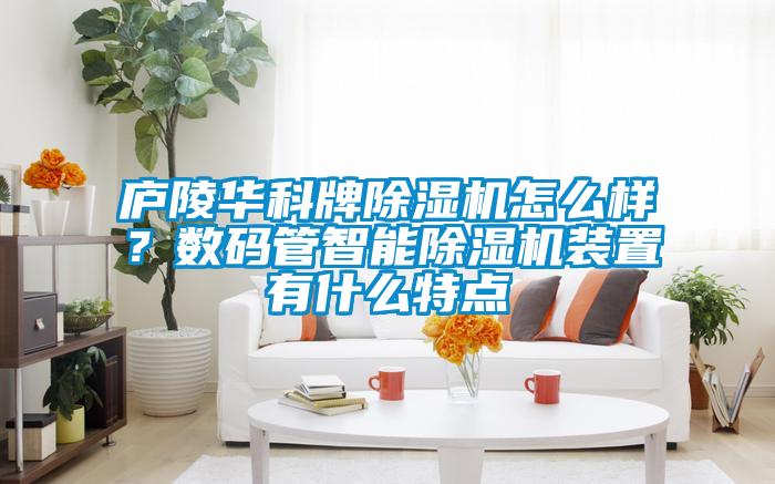 廬陵華科牌除濕機(jī)怎么樣？數(shù)碼管智能除濕機(jī)裝置有什么特點(diǎn)