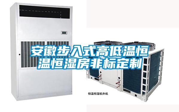 安徽步入式高低溫恒溫恒濕房非標(biāo)定制