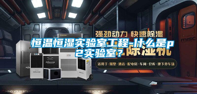 恒溫恒濕實驗室工程-什么是p2實驗室？