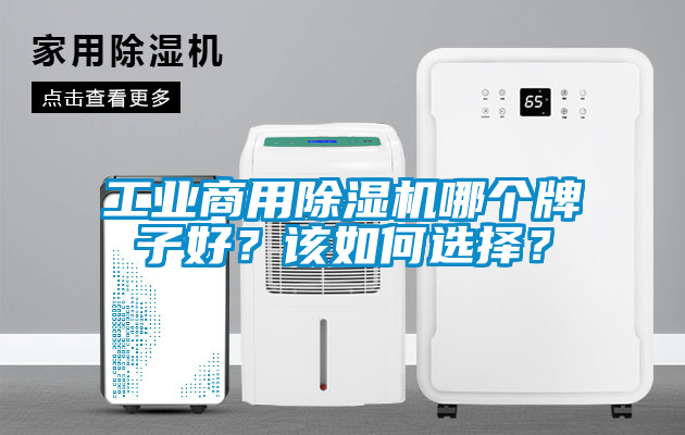 工業(yè)商用除濕機哪個牌子好？該如何選擇？