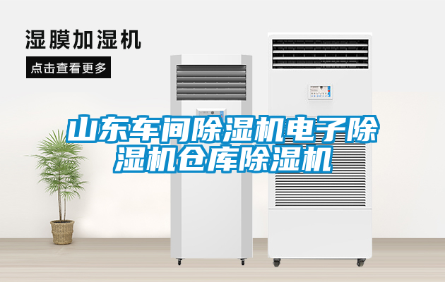 山東車間除濕機(jī)電子除濕機(jī)倉庫除濕機(jī)