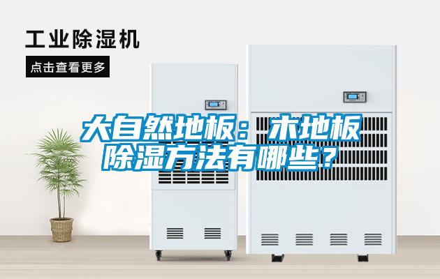 大自然地板：木地板除濕方法有哪些？