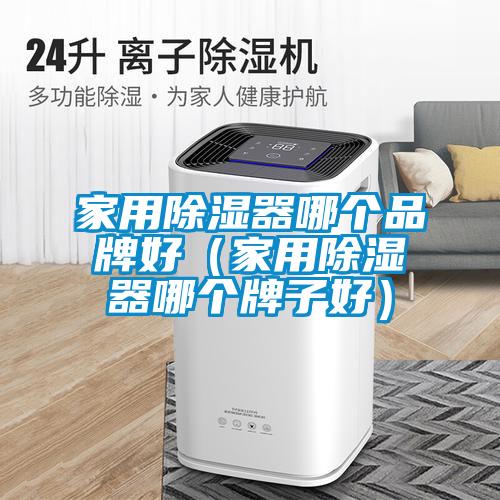 家用除濕器哪個品牌好（家用除濕器哪個牌子好）