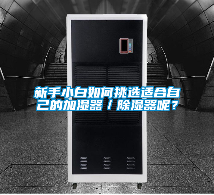 新手小白如何挑選適合自己的加濕器／除濕器呢？