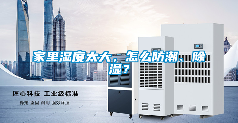 家里濕度太大，怎么防潮、除濕？