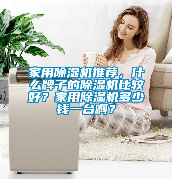 家用除濕機(jī)推薦，什么牌子的除濕機(jī)比較好？家用除濕機(jī)多少錢一臺啊？