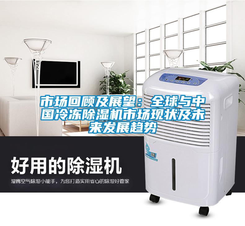 市場回顧及展望：全球與中國冷凍除濕機(jī)市場現(xiàn)狀及未來發(fā)展趨勢