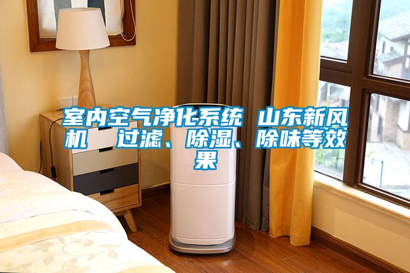 室內(nèi)空氣凈化系統(tǒng) 山東新風(fēng)機(jī)  過(guò)濾、除濕、除味等效果