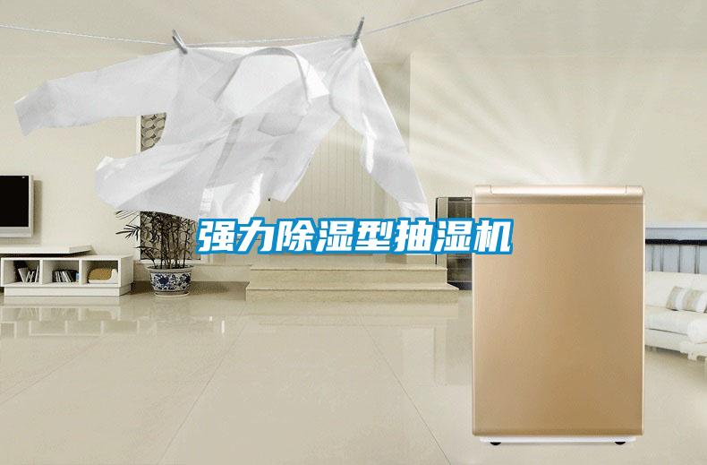 強(qiáng)力除濕型抽濕機(jī)
